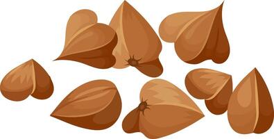 Buckwheat groats cascading against a clean white background, highlighting the essence of healthy eating and the use of wholesome, nutritious ingredients in various diets vector