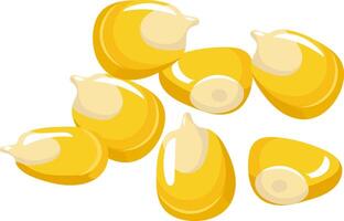 Fresh corn kernels falling and rotating against a crisp white background, creating a vibrant and dynamic visual representation of a staple agricultural product essential for healthy diets vector