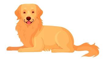 Cartoon golden retriever dog lying down with tongue out, showcasing a joyful expression. Isolated on a white background, representing the warmth of pet companionship and loyalty vector