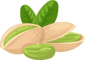 Pistachio nuts, featuring slightly open shells, reveal vibrant green seeds nestled inside, surrounded by fresh green leaves, creating an appealing and healthy snack presentation vector