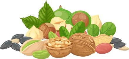 Offering a vibrant assortment of nuts and seeds, featuring walnuts, hazelnuts, pistachios, and more, creating a colorful and nutritious mix that supports a balanced diet vector