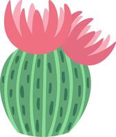 Round green cactus featuring vertical stripes and decorative dots, blooming with vibrant pink flowers, highlighting the beauty of desert flora and showcasing adaptation to arid environments vector