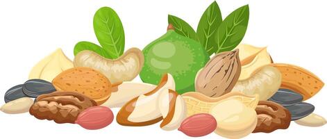 Pecans, Brazil nuts, peanuts, cashews, almonds, macadamia nuts and sunflower seeds are forming a colorful composition with some green leaves on a white background vector