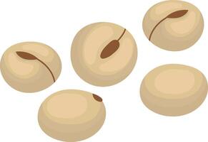 Five soybeans are falling against a white background, creating a simple yet visually appealing composition, suitable for various food and agriculture related projects vector