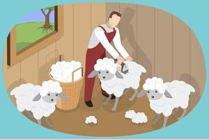 3D Isometric Flat Conceptual Illustration of Shearing Sheep, Wool Production vector