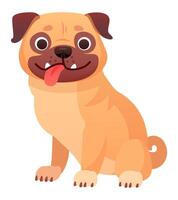 Cute pug dog sitting with tongue out, happy and playful canine pet, adorable companion animal with friendly expression, isolated on white background vector