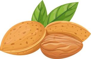 Nutritious almonds featuring vibrant green leaves, displaying both the outer shell and the inner seed, appealing to health conscious consumers seeking wholesome snacks and ingredients vector