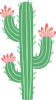 Saguaro cactus adorned with three vibrant pink flowers blooming on its arms, representing resilience and beauty thriving in harsh desert environments vector