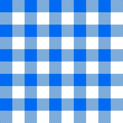 blue plaid grid gingham fabric texture