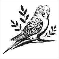 Detailed Black and White Line Art of a Budgie on a Branch vector