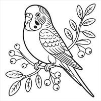 Budgerigar perched on a branch with berries - Line Art vector
