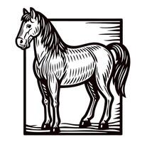 Engraved illustration of standing horse in vintage with textured lines and detailed mane inside square frame vector