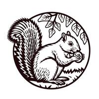 Engraved vintage illustration of a squirrel eating nut under tree branch with detailed tail and foliage elements vector