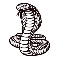 Coiled cobra with hood flared and mouth open detailed black and white illustration of venomous snake in defensive pose vector