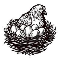 Hen sitting on nest with eggs, vintage black and white illustration of chicken hatching eggs in straw nest, detailed line art vector