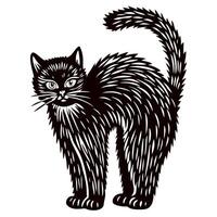 Frightened arched black cat illustration with bristling fur and expressive eyes isolated on white background vector