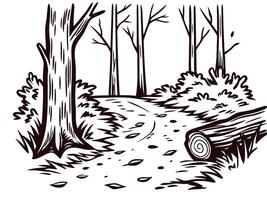 Forest trail in winter landscape with bare trees and leafy path vector