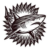 Hand drawn aggressive shark with open mouth and sharp teeth surrounded by stylized burst engraving illustration vector
