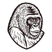 Hand drawn gorilla head sketch in vintage engraved with bold black lines isolated on white vector