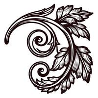Vintage ornate acanthus leaf swirl design in classic engraving with intricate details vector