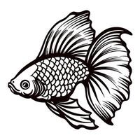 Detailed hand drawn illustration of a goldfish with flowing fins and scales, black and white sketch vector