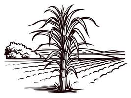 Scenic sugarcane field with farmland and hills in black and white vector