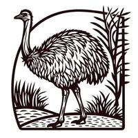 Emu standing in grassland illustration with decorative nature elements and detailed feather texture line art vector