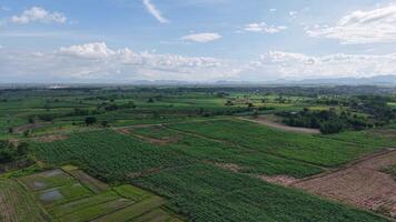 Aerial panorama of a rural mountain area with sparse trees and open fields, framed by dramatic storm clouds. This cinematic view captures the serenity of nature just before the monsoon begins. video