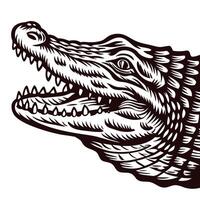 Detailed vintage engraving of an alligator head in profile monochrome stylized sketch illustration with open jaws vector