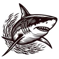 Fierce great white shark illustration with open mouth and sharp teeth in swirling water, bold black outline drawing vector