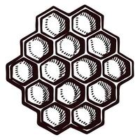 Hand drawn honeycomb pattern illustration in vintage engraved with hexagonal cells isolated on white background vector