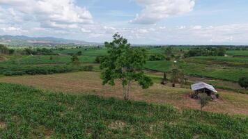 An aerial view of fresh green hills stretching into the distance, with a winding road and thick clouds forming above. A quiet, serene environment just before rain begins to fall. video