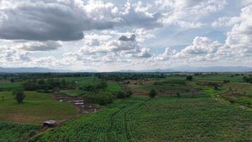 un escénico país la carretera carreras mediante montañoso terreno, debajo un vasto cielo lleno con ondulante nubes el suave ligero y apagado tonos evocar un sentido de calma antes de el tormenta. video