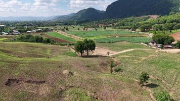 Soaring drone footage capturing expansive farmland and rolling hills, with white clouds starting to turn grey before the rain. A serene, cinematic natural scene. video