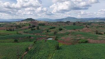 Aerial footage showing wide open green hills and scattered trees under a dense sky. The landscape looks serene and fresh, with a subtle hint of the approaching rain. video