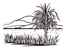 Scenic view of sugarcane plant in vast field with mountainous horizon and cloudy sky vector