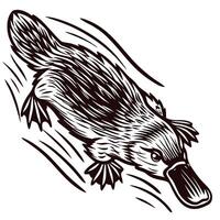Stylized platypus swimming with dynamic motion lines in a graphic vector