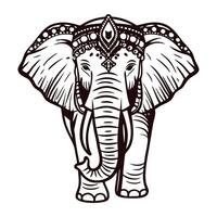 Ornate hand drawn elephant head with traditional decorative patterns and intricate linework illustration vector
