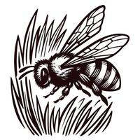 Detailed of a bee on grass blades featuring intricate wing patterns and body texture vector