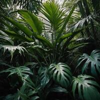 A vibrant and lush green jungle filled with abundant plants and trees photo