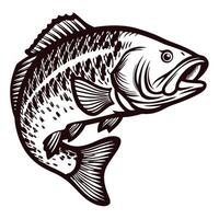 Detailed hand drawn illustration of a largemouth bass jumping isolated on white background with bold line art vector