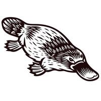Detailed of a platypus swimming with distinctive features and textured fur patterns vector