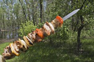 Raw shashlik on a single skewer photo