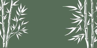 Bamboo tree frame. Hand drawn style vector