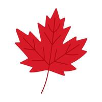 A red leaf with a stem. The leaf is red and has a pointed tip. The leaf is drawn in a stylized way, giving it a cartoonish appearance vector