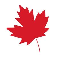 A red leaf with a stem. The leaf is red and has a pointed tip. The leaf is a symbol of the fall season vector
