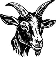 A vintage style illustration of goat vector