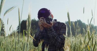 A young man takes photos with a camera, standing between ears of wheat in an agricultural field on a summer sunny day. 4k , red komodo