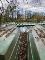 Rowing Boats Positioned Near Calm Water With Trees in Background Under Cloudy Sky photo