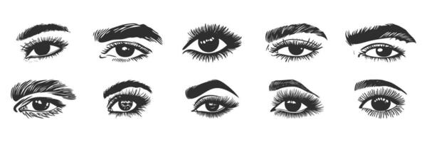 Eye And Eyebrow Silhouette Set. Diverse Expressions And Styles In Black And White. Isolated Illustration Collection vector